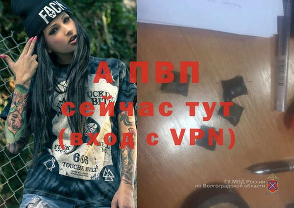стафф Белокуриха