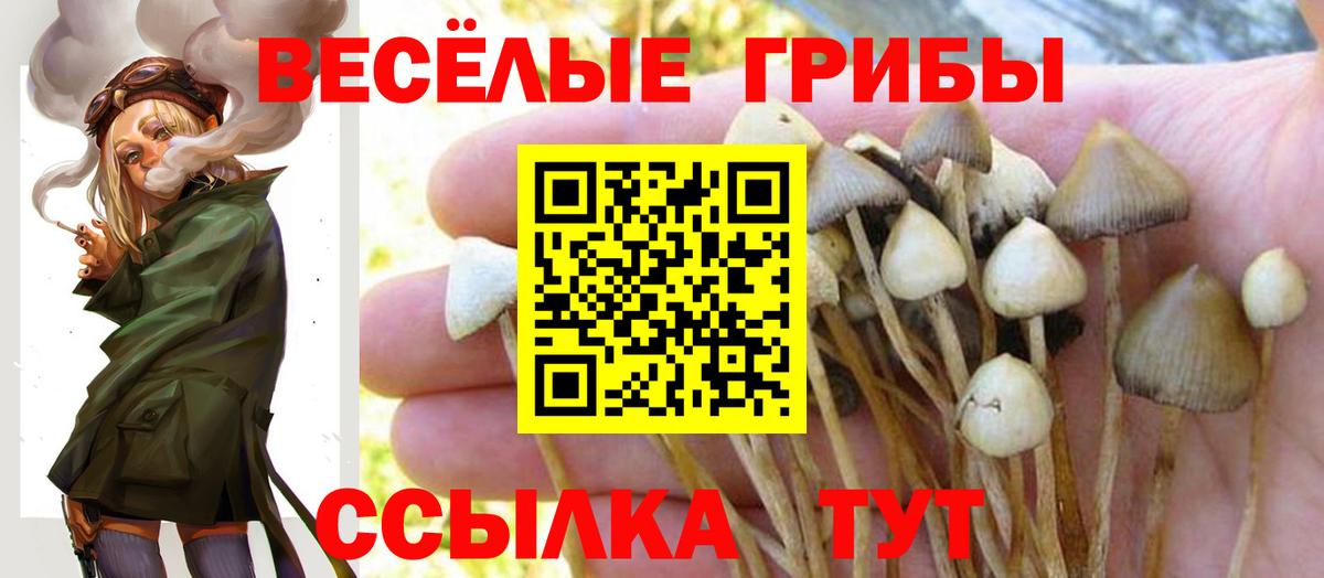 Галлюциногенные грибы Psilocybine cubensis  Вход с VPN  Богородск 