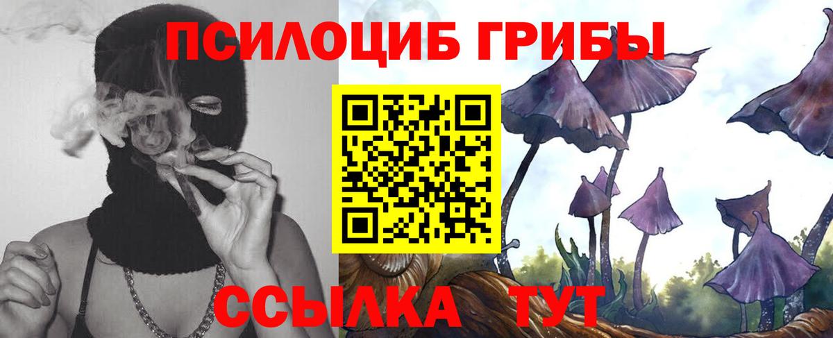Псилоцибиновые грибы Cubensis Богородск